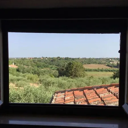 House With A Swimming Pool - San Giorgio ヴィラ Villa Gorizia